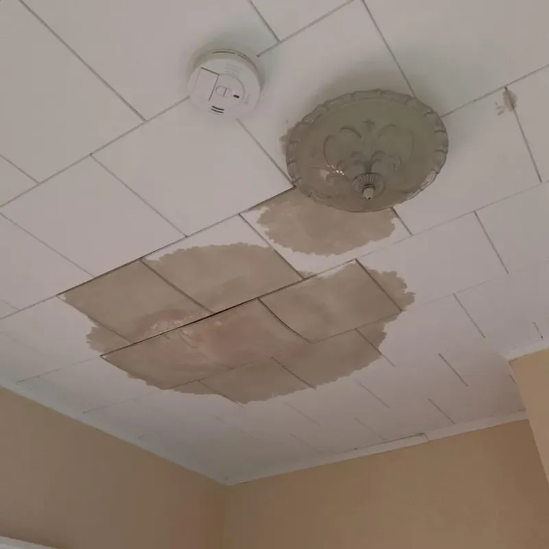 Ceiling Water Damage Repair in Poultney, VT