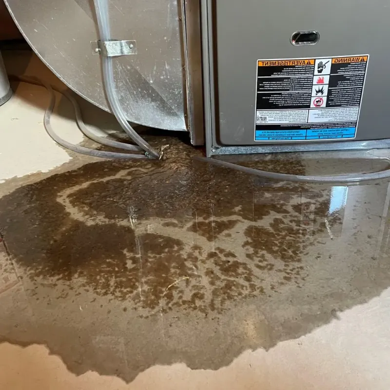 Pipe Burst and Leak Restoration in Poultney, VT