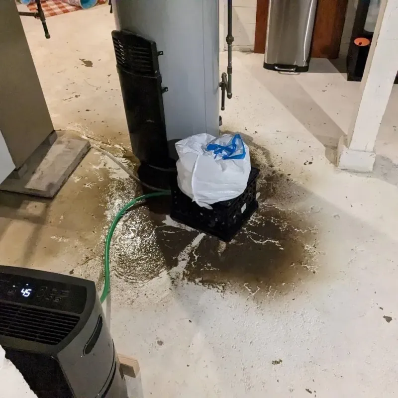 Sewage Backup Cleanup Service in Poultney, VT